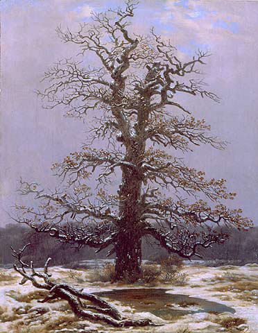 Caspar David Friedrich Eiche im Schnee